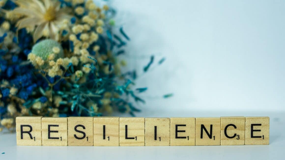 Résilience